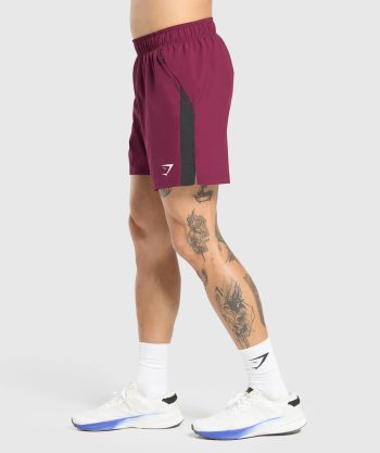 Sport  7 Shorts