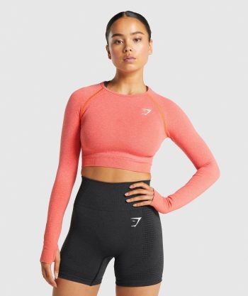 Vital Seamless 2.0 Long Sleeve Crop Top