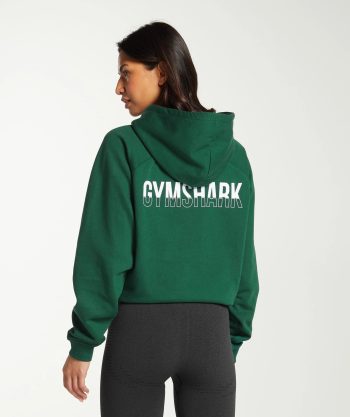 Fraction Hoodie
