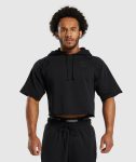 Legacy Short Sleeve Crop Hoodie