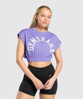 Mesh Graphic Crop Top