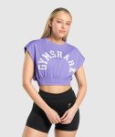 Mesh Graphic Crop Top