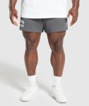 Lifting Mesh 5 Shorts