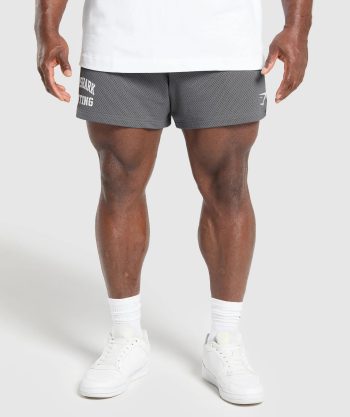 Lifting Mesh 5 Shorts