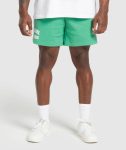 Lifting Mesh 7 Shorts