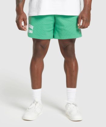 Lifting Mesh 7 Shorts