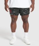 Lifting Mesh 5 Shorts