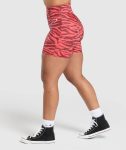 CEC84306-2422-7088-C87A-EA9FA302C67D