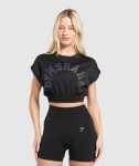 Mesh Graphic Crop Top