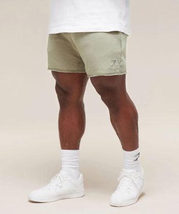 Heritage 5 Shorts
