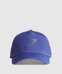 Mesh Trucker