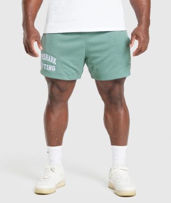 Lifting Mesh 5 Shorts