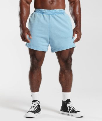 Power Washed 5 Shorts