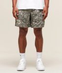 Lifting Mesh 5 Shorts