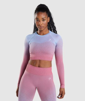 Adapt Ombre Seamless Long Sleeve Crop Top