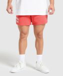 Lifting Mesh 5 Shorts