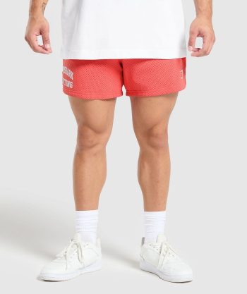 Lifting Mesh 5 Shorts