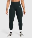 Lift Seamless Leggings