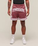 Varsity Mesh Shorts