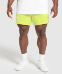 Lifting Mesh 5 Shorts