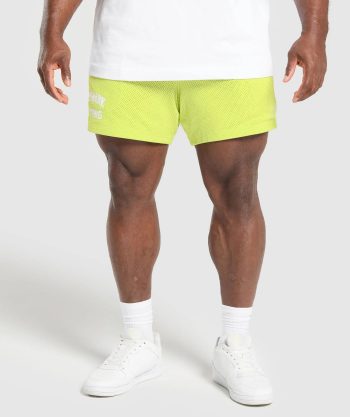 Lifting Mesh 5 Shorts