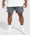 Lifting Mesh 7 Shorts