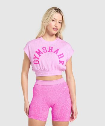 Mesh Graphic Crop Top