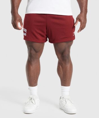 Lifting Mesh 5 Shorts