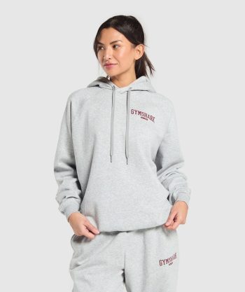 Collegiate Lifestyle Hoodie